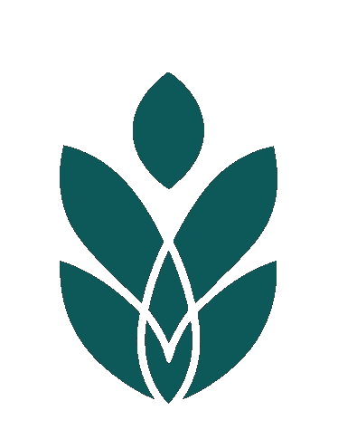 Logo Viviane Franco